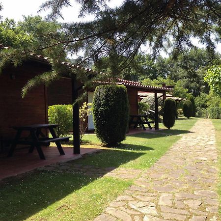 Camping Ecologic Lava Санта-Пау Экстерьер фото